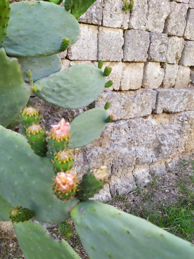 Apartmán Casina Nel Salento Lecce Exteriér fotografie